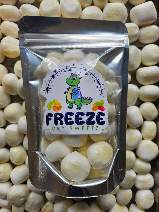 Freeze Dried Ice Chews - Mango